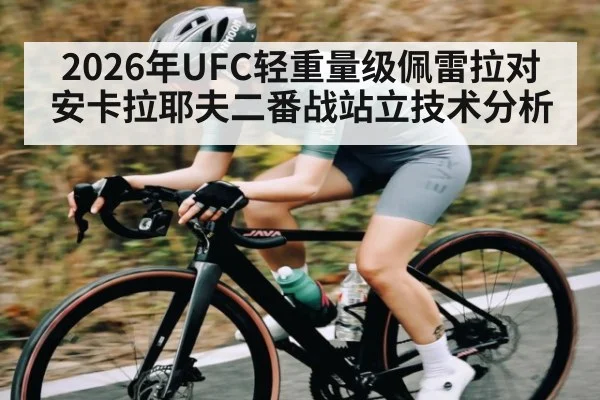 2026年UFC轻重量级佩雷拉对安卡拉耶夫二番战站立技术分析 - kaiyun